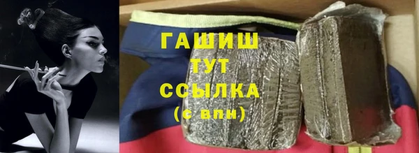 стаф Алзамай