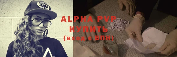 стаф Алзамай