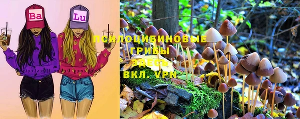 эйфоретик Инта