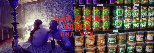 стаф Алзамай