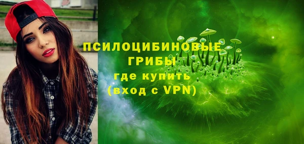 не бодяженный Алексин
