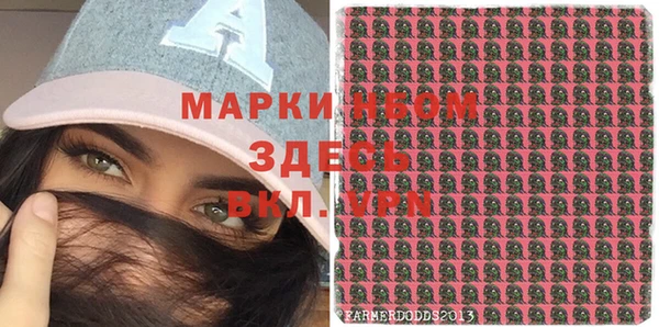 стаф Алзамай