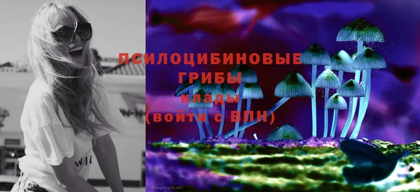 стаф Алзамай