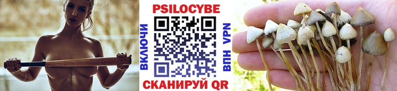 мориарти телеграм  Саки  Галлюциногенные грибы GOLDEN TEACHER  кракен ссылки 